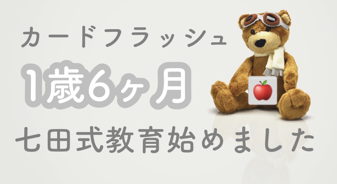 激安の商品 七田　しちだ式　高速フラッシュ記憶カード　vol.1 2022年5月〜1年分 知育玩具
